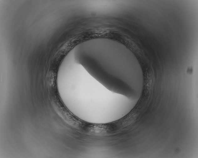 X0000114700758200911121540