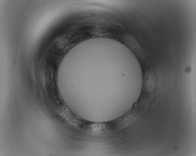 X0000114700762200911121540