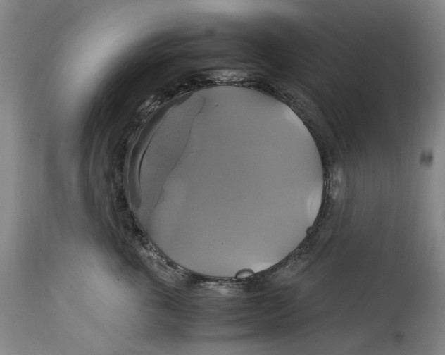 X0000114700763200911121540