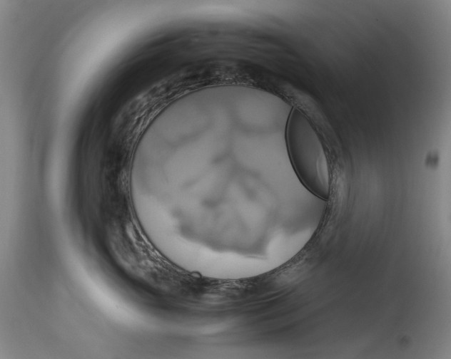 X0000114700765200911121540