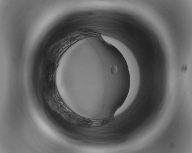 X0000114700766200911121540