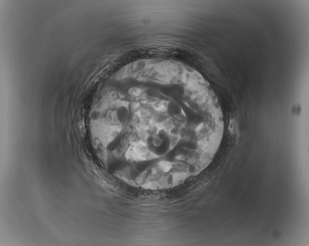 X0000114700771200911121539