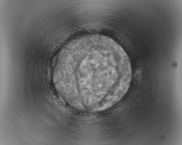 X0000114700772200911121539