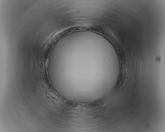 X0000114700773200911121539