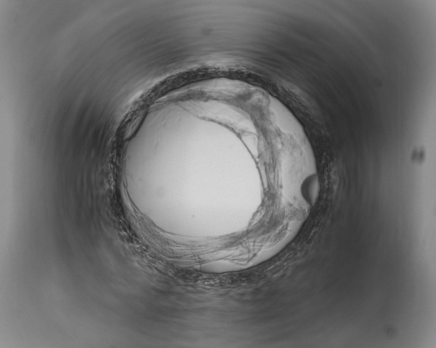 X0000114700776200911121539