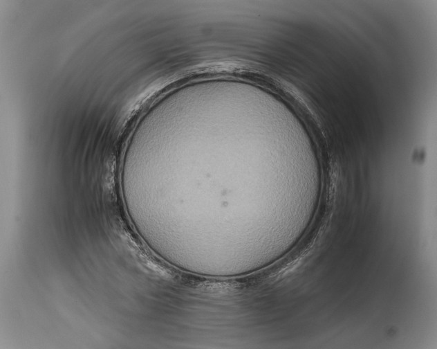 X0000114700778200911121539