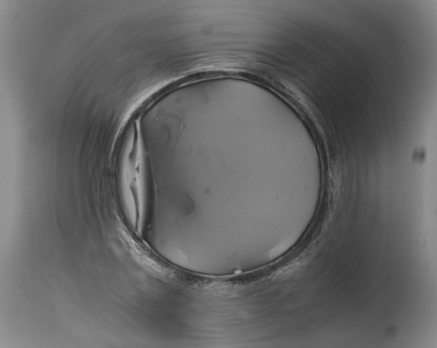 X0000114700779200911121539