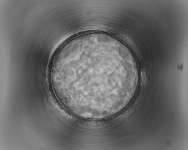 X0000114700780200911121539