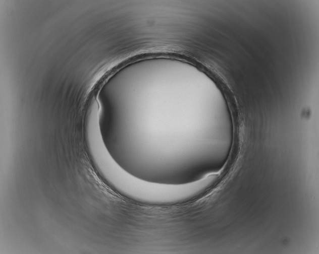 X0000114700781200911121539