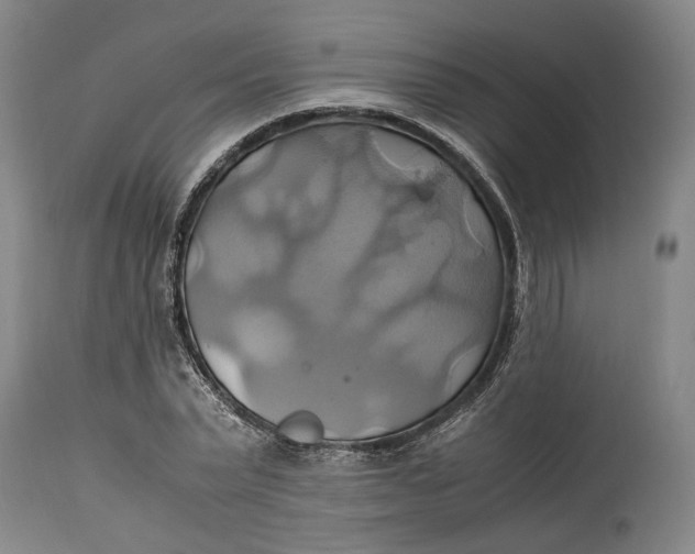 X0000114700783200911121539