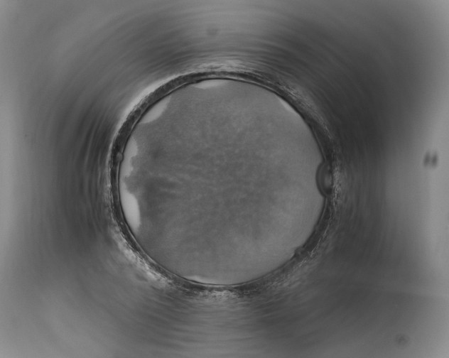 X0000114700784200911121539