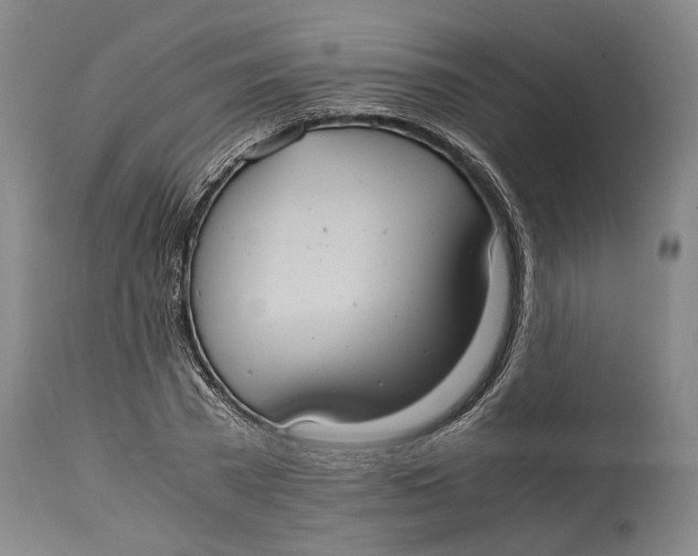 X0000114700785200911121539