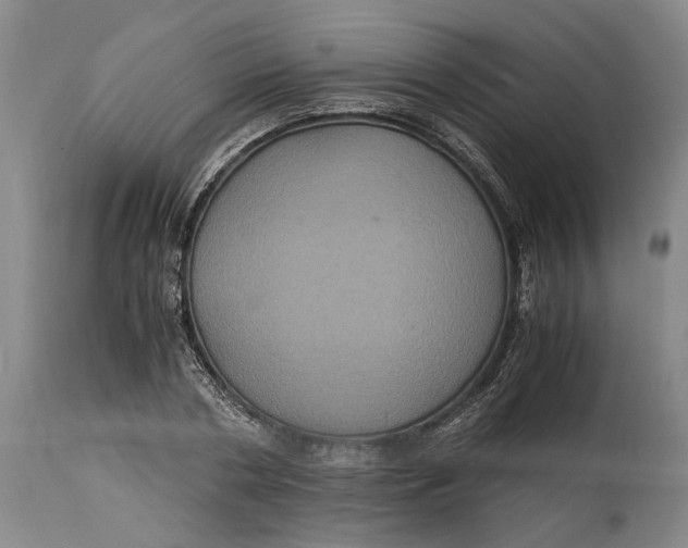 X0000114700786200911121539