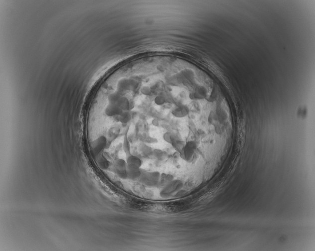 X0000114700787200911121539