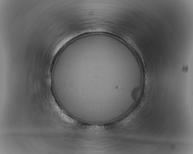 X0000114700789200911121539