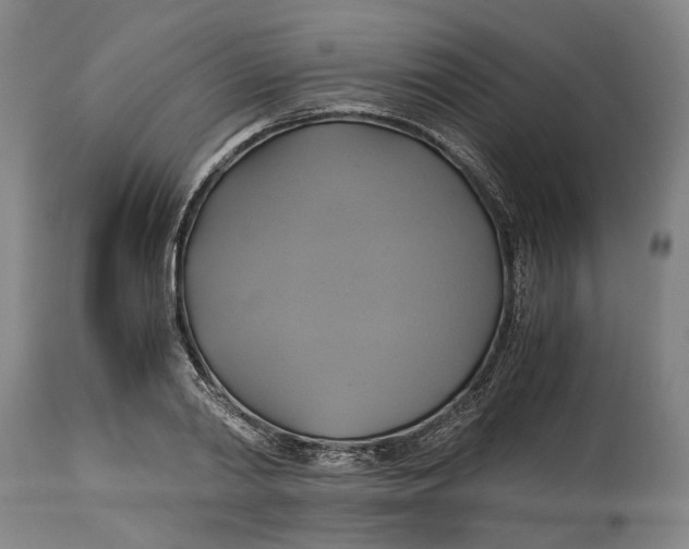 X0000114700790200911121539