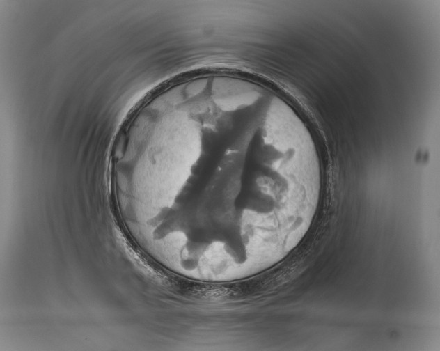 X0000114700791200911121539