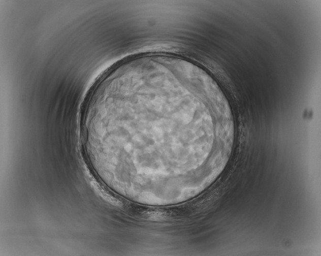 X0000114700792200911121539