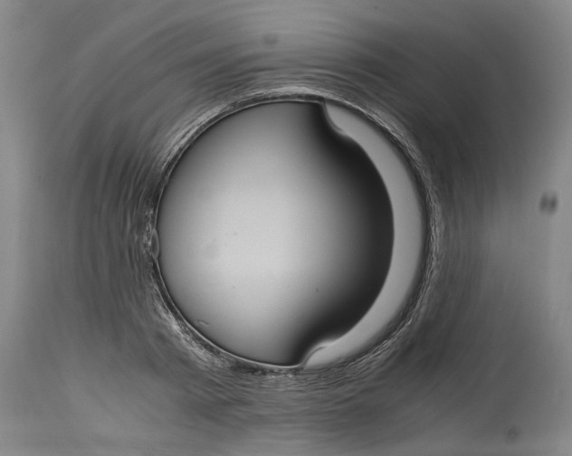 X0000114700793200911121539