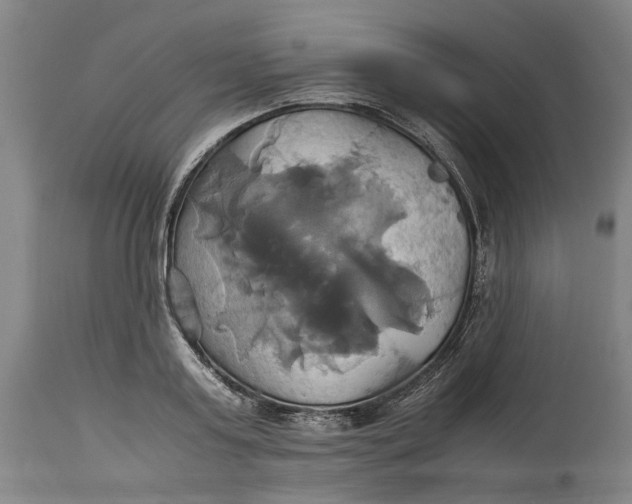 X0000114700795200911121539