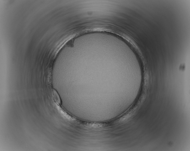 X0000114700801200911121539