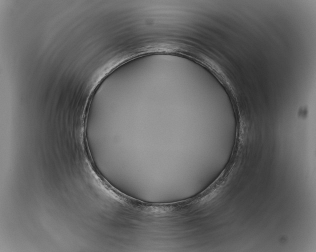 X0000114700802200911121539