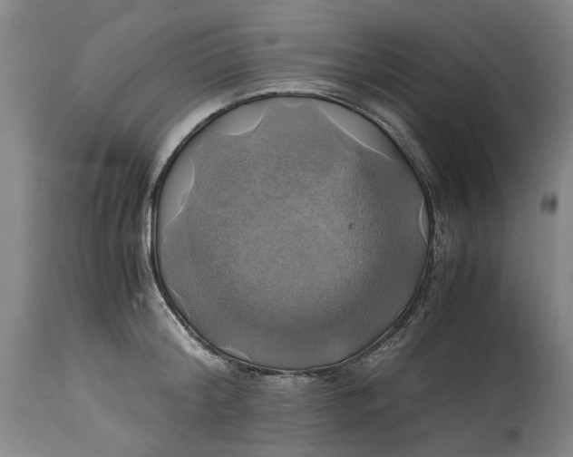 X0000114700804200911121539