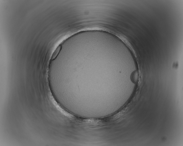 X0000114700805200911121539