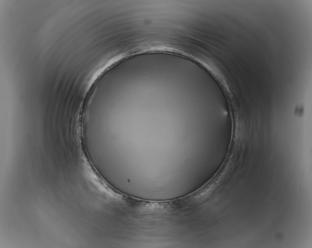 X0000114700806200911121539