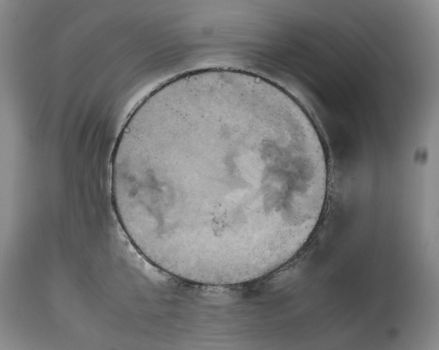 X0000114700807200911121539