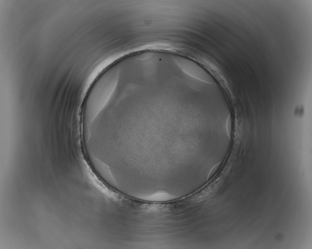 X0000114700808200911121539