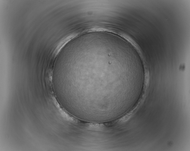 X0000114700809200911121539