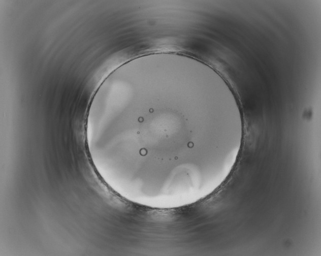 X0000114700810200911121539