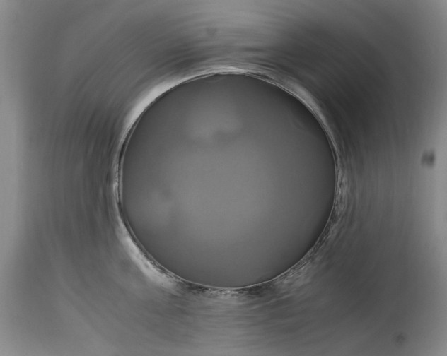 X0000114700811200911121539