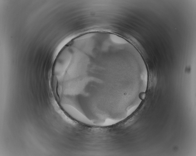 X0000114700812200911121539