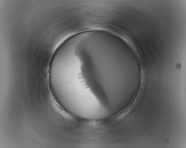 X0000114700814200911121539