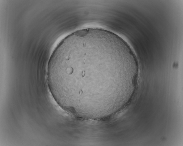 X0000114700815200911121539