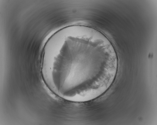 X0000114700816200911121539