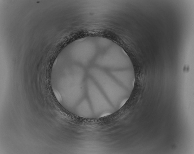 X0000114700817200911121538