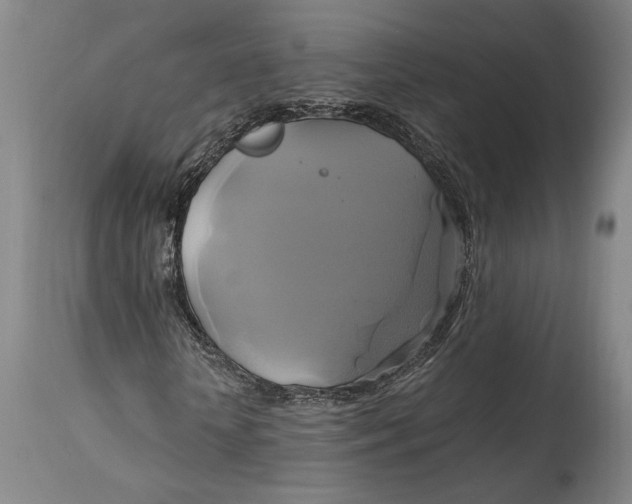 X0000114700818200911121538