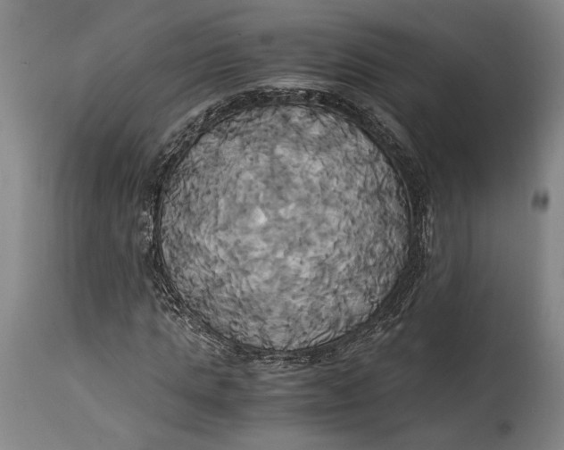 X0000114700821200911121538