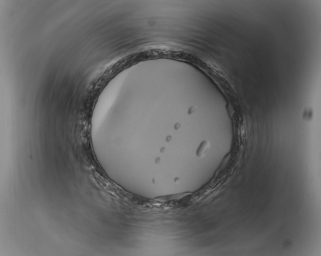 X0000114700822200911121538