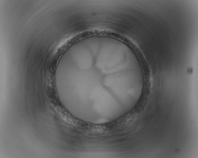 X0000114700823200911121538