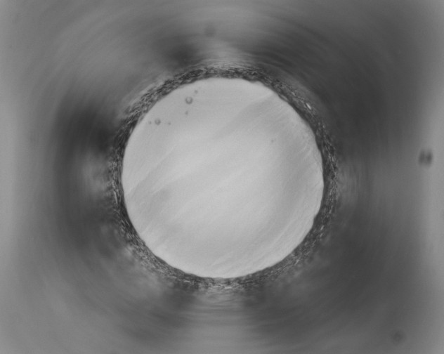 X0000114700824200911121538