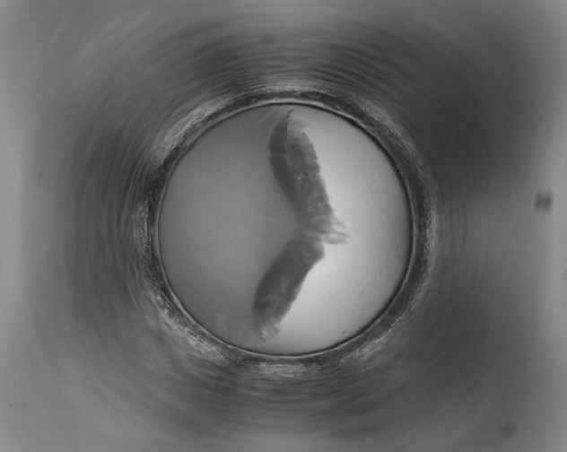 X0000114700825200911121538