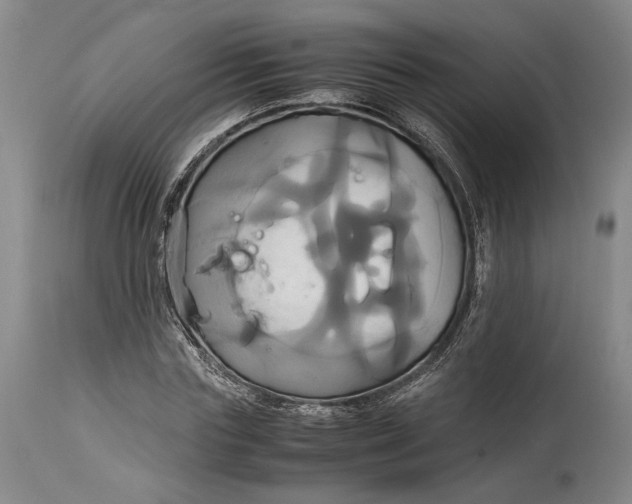 X0000114700827200911121538