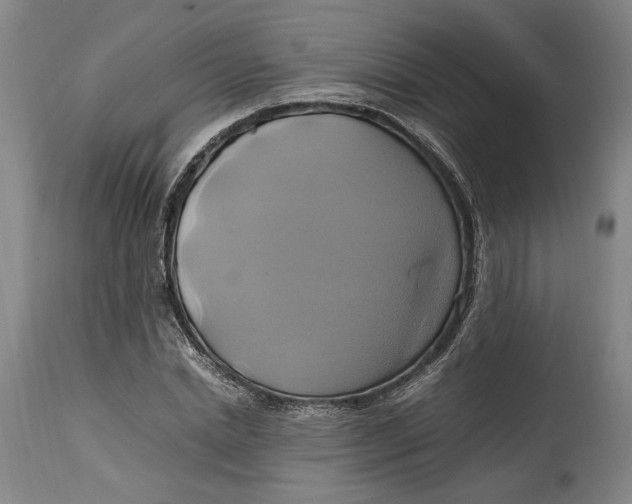 X0000114700830200911121538