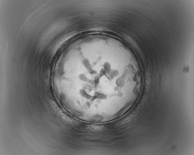 X0000114700831200911121538