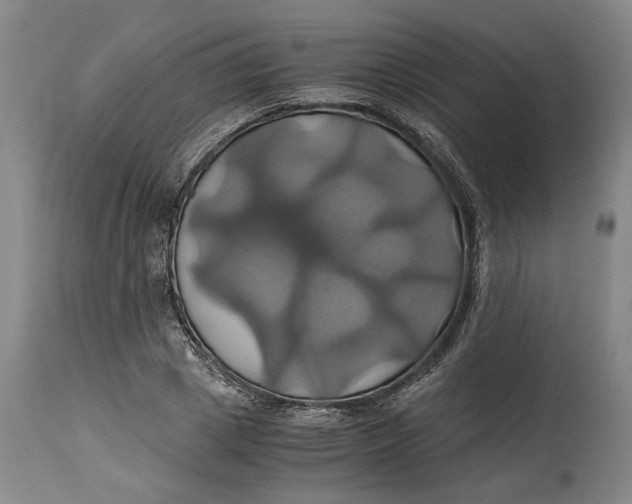 X0000114700833200911121538