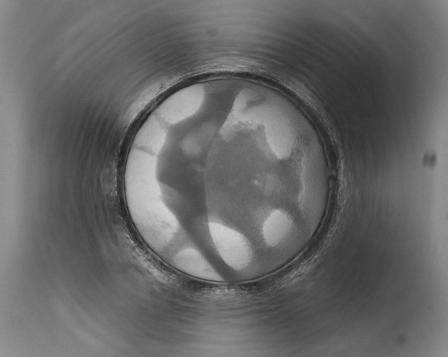 X0000114700834200911121538